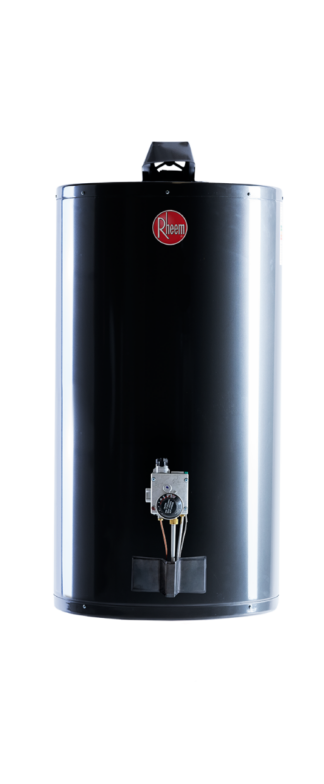 Termotanque a Gas Natural Alta Eficiencia Energética Rheem Colgar 80 L