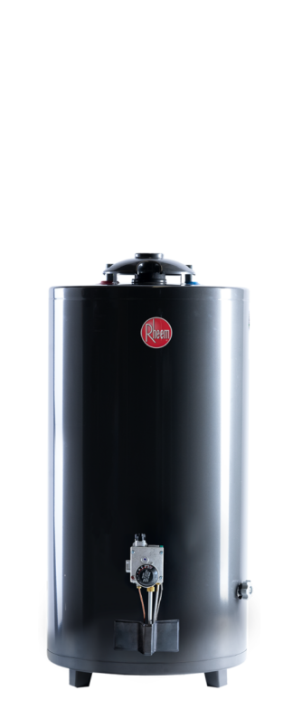 Termotanque a Gas Natural Alta Eficiencia Energética Rheem Pie